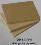 Plywood- Poplar (XTP08-003)