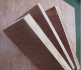 Bintangor Plywood Bb/CC Grade (Carb Certified)