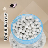 Airsoft Pellet