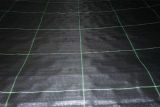 PP Woven Fabric with Grids