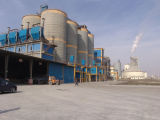 Ordinary Portland Cement (P. O42.5R)