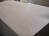 Linyi Cheap Price Okoume Face Hardwood Core BB/CC Grade Plywood for Furniture