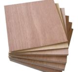 Door Size Plywood