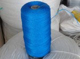 PE Fishing Net Twine