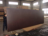 Construction Plywood