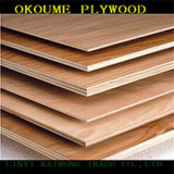 Okoume Bintangor Face Commercial Plywood for Furniture