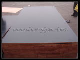 Film Faced Plywood (HT-FFP-026)