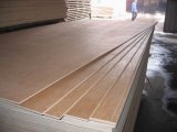 Bintangor Plywood