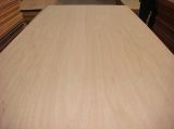 Red Cedar Plywood