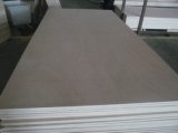 Okoume Plywood