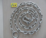 Dog Link Chain