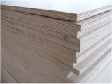 Waterproof Building Material Birch Plywood