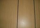 Cheaper Wood Color Polyester Plywood China