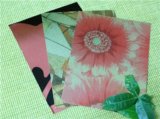 Flower Colours Printing Aluminum Composite Panel