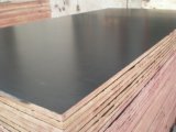 WBP Glue Film Faced Plywood