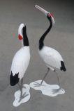 Red-Crowned Crane