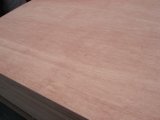 Furniture Plywood