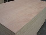 Bintangor Furniture Plywood (20130001)