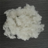 Chemical Fiber for Filling with Low Price