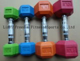 Colorful Hex Rubber Coated Dumbbell