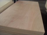 18mm Pencil Cedar Plywood for Decoration