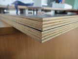 Black Film Faced Plywood for Construction