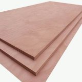 Plywood - 1