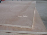 Okoume Commercial Plywood