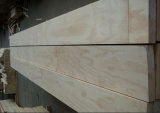 Poplar Core and WBP Glue LVL Scaffolding Board at Wholesale Price