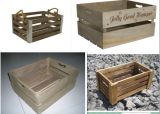 Wooden Wine Crates and Boxes