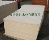 Poplar Plywood (1)