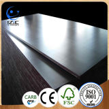 18mm 12220*2440mm Film Faced Plywood for Construction