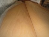 Agathis Veneer