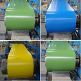 Color Coated Steel Coil, PPGI, PPGL, Prepainted Steel Coil, Many Countries Market PPGI, PPGL