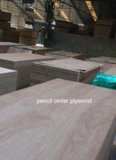 Plywood Sheet