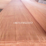 Natural Rotary Cut Plb Wood Face Veneer for Plywood