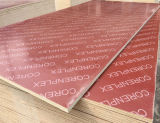 Poplar Core WBP Waterproof Glue Red Film Concrete Formwork Plywood