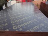 Consmos 2 Star Grade Film Faced Plywood, Good Quality with Cheap Price