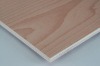 Beech Plywood