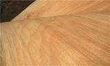 Keruing Gurjan Veneer, Sliced Cut 0.2mm Recon Gurjan Face