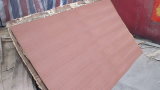 3.0 Sapeli Fancy Plywood for Decoration (GS001)