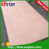 4.5mm Bintangor Marine Plywood to Philippines Market