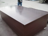 18mm Brown Film Faced Plywood