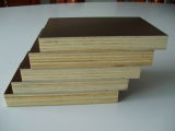 Film Faced / Coated Plywood for Construction