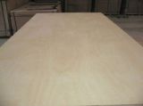 18mm C2 White Birch Plywood for Furniture with Carb Certificate