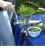 Manual S/S Wheatgrass Juicer