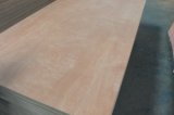 Full Keruing Plywood