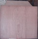 Container Plywood 28mm