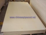 White Birch Plywood Poplar Core E1 Glue (ht-plywood-043)