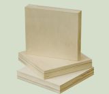 Carb P2 Certified Full Poplar Plywood for Furniture